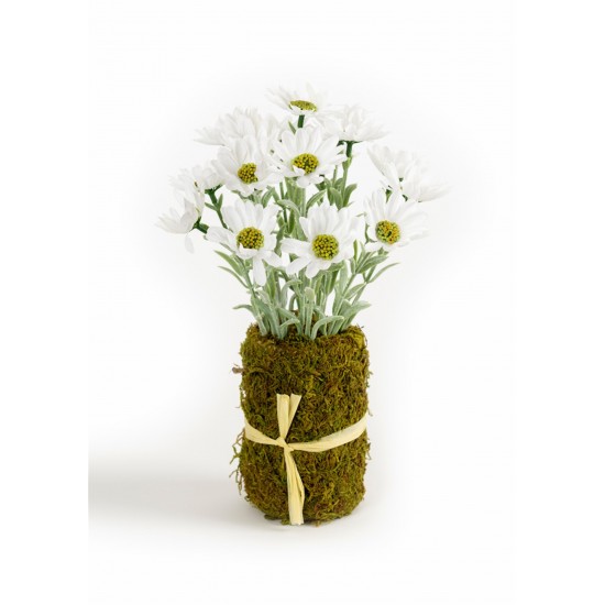 Floral Vase Insert (Set Of 6) Polyeseter/Plastic 10"