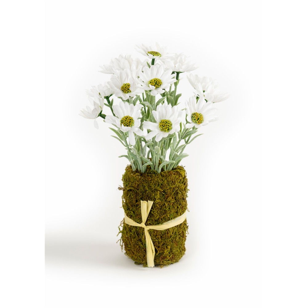Floral Vase Insert (Set Of 6) Polyeseter/Plastic 10"