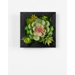 Hanging Succulent Wall Decor (Set Of 6) Plastic