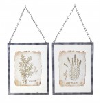 Lavender/Thyme Frame (Set Of 2) 9.5" x 12.5" Glass/Metal