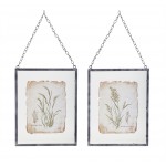 Grass Frame (Set Of 2) 12.5" x 16"H Glass/Metal