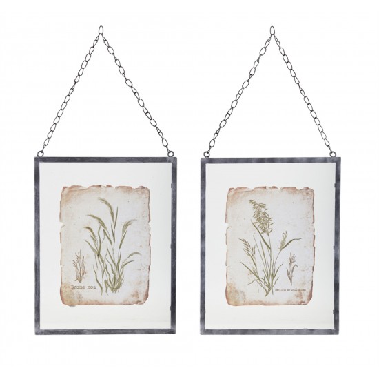Grass Frame (Set Of 2) 12.5" x 16"H Glass/Metal