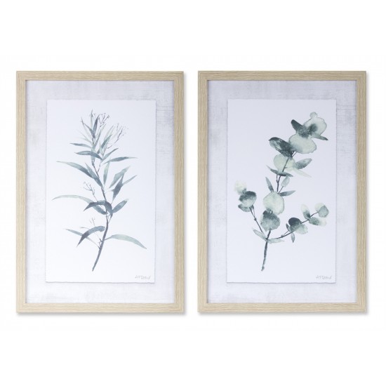 Eucalyptus Print (Set Of 2) 12.75" x 18.25"H Plastic/Mdf