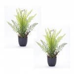 Fern Potted (Set Of 2) 11" x 18"H Plastic