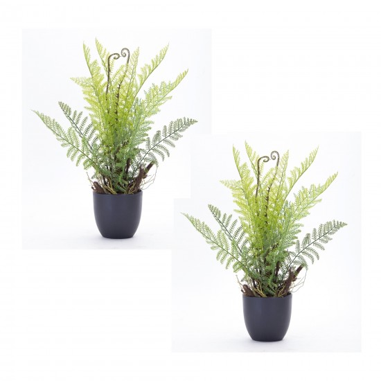 Fern Potted (Set Of 2) 11" x 18"H Plastic