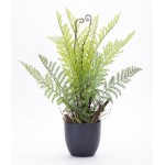 Fern Potted (Set Of 2) 11" x 18"H Plastic