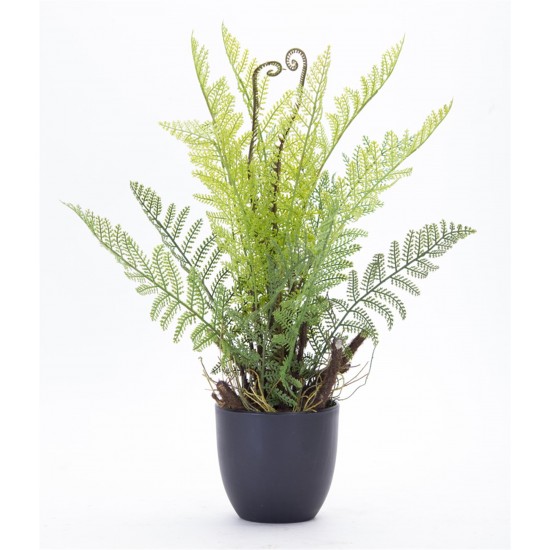 Fern Potted (Set Of 2) 11" x 18"H Plastic