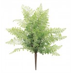 Fern Bush (Set Of 6) 19"H Plastic