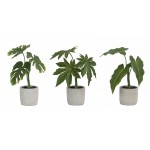 Potted Foliage (Set Of 6) 10"H, 10.5"H, 11.5"H Polyester/Plastic