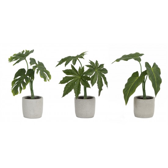 Potted Foliage (Set Of 6) 10"H, 10.5"H, 11.5"H Polyester/Plastic