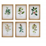 Framed Winter Foliage (Set Of 6) 10.5"L x 14.25"H Paper/Wood/Glass