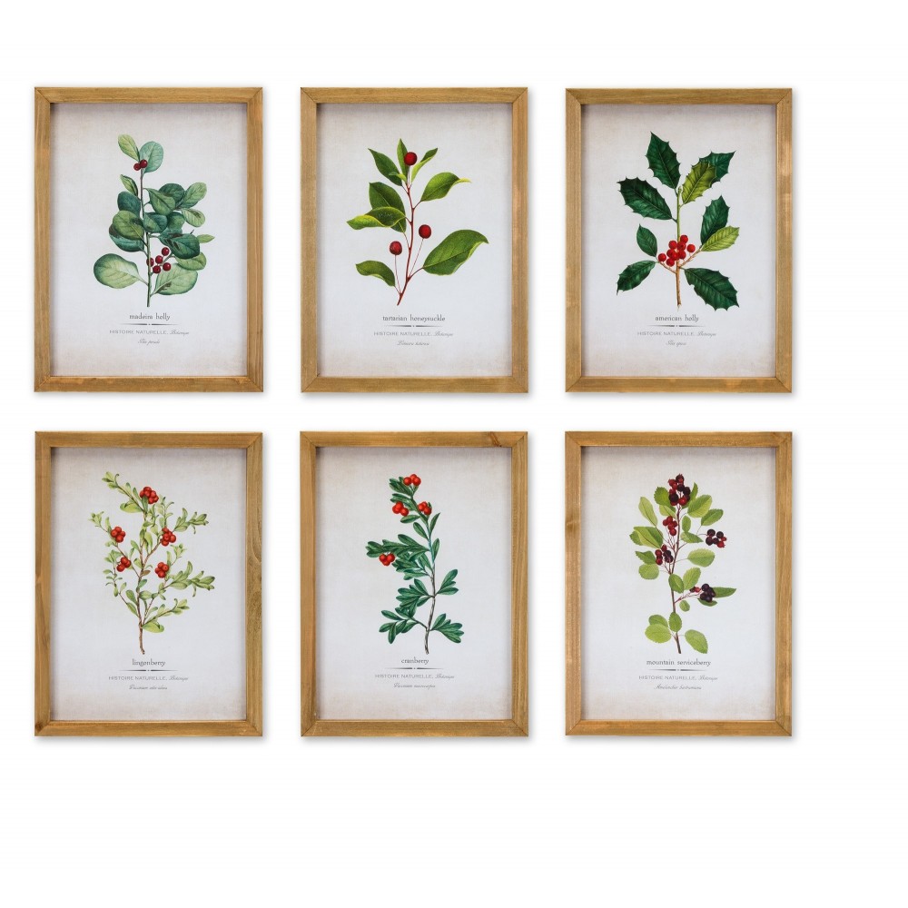 Framed Winter Foliage (Set Of 6) 10.5"L x 14.25"H Paper/Wood/Glass