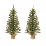 Pine Tree 3'H (Set Of 2) Pvc/Metal