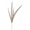 Faux Feather 29"H (Set Of 12) Polyester