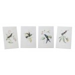 Hummingbird Print (Set Of 4) 5.5"L x 8"H Wood/Mdf/Paper