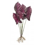 Caladium Plant (Set Of 2) 22.25"H Polyester