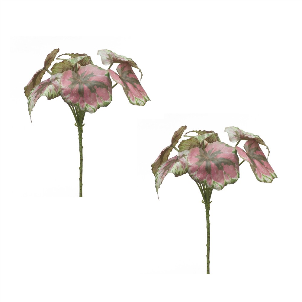 Begonia Leaf (Set Of 2) 11.5"H Polyester