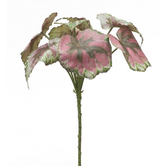 Begonia Leaf (Set Of 2) 11.5"H Polyester