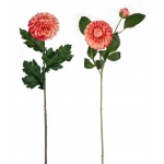 Dahlia (Set Of 4) 24"H, 29"H Polyester