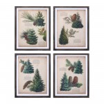 Pine Print Frame (Set Of 4) 11.75"L x 15.25"H Wood/Mdf