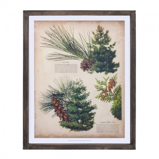 Pine Print Frame (Set Of 4) 11.75"L x 15.25"H Wood/Mdf