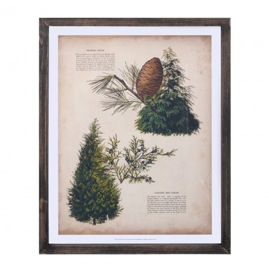 Pine Print Frame (Set Of 4) 11.75"L x 15.25"H Wood/Mdf