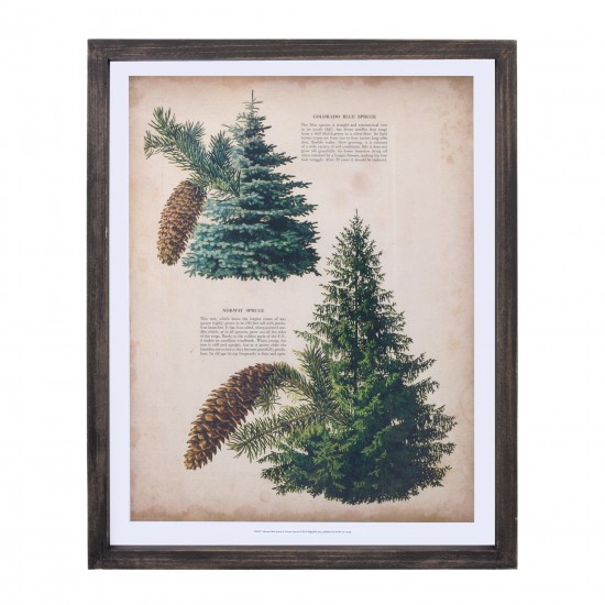 Pine Print Frame (Set Of 4) 11.75"L x 15.25"H Wood/Mdf