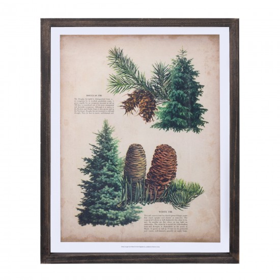 Pine Print Frame (Set Of 4) 11.75"L x 15.25"H Wood/Mdf