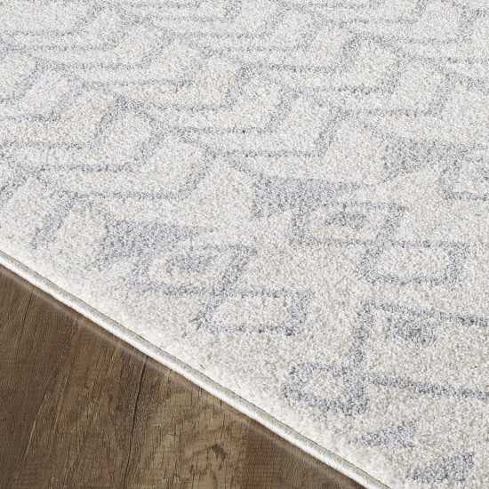 Totti Loops Cream/Gray 3x5 Southwestern Rug