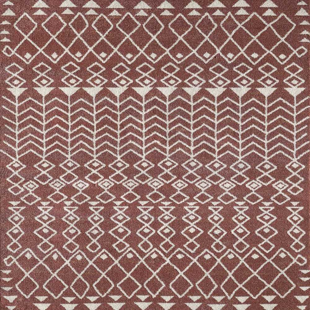 Totti Loops Terracotta/Cream 6x9 Southwestern Rug