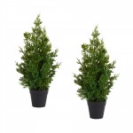 Potted Pine Tree (Set Of 2) 19"H Pvc