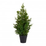 Potted Pine Tree (Set Of 2) 19"H Pvc