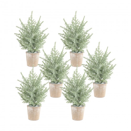 Potted Icy Pine Tree (Set Of 6) 12"H Plastic/Paper