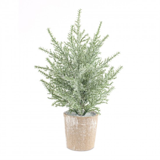 Potted Icy Pine Tree (Set Of 6) 12"H Plastic/Paper