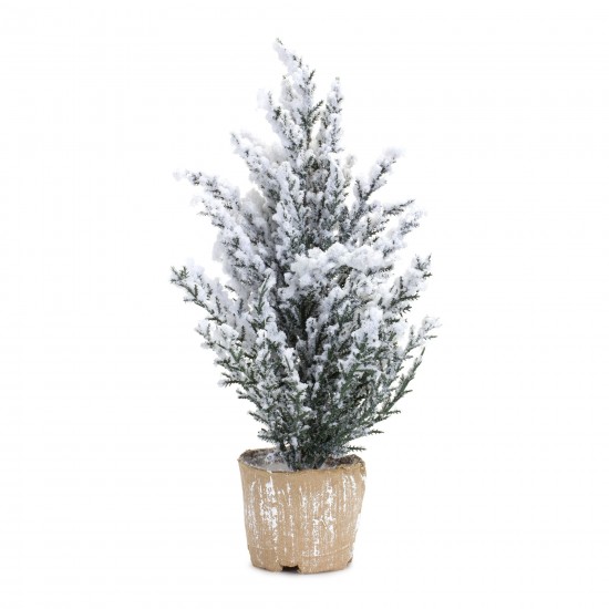 Potted Snowy Pine Tree (Set Of 6) 12"H Plastic/Paper