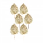 Fan Palm Leaf (Set Of 6) 42"H Natural Palm, Beige, Brown