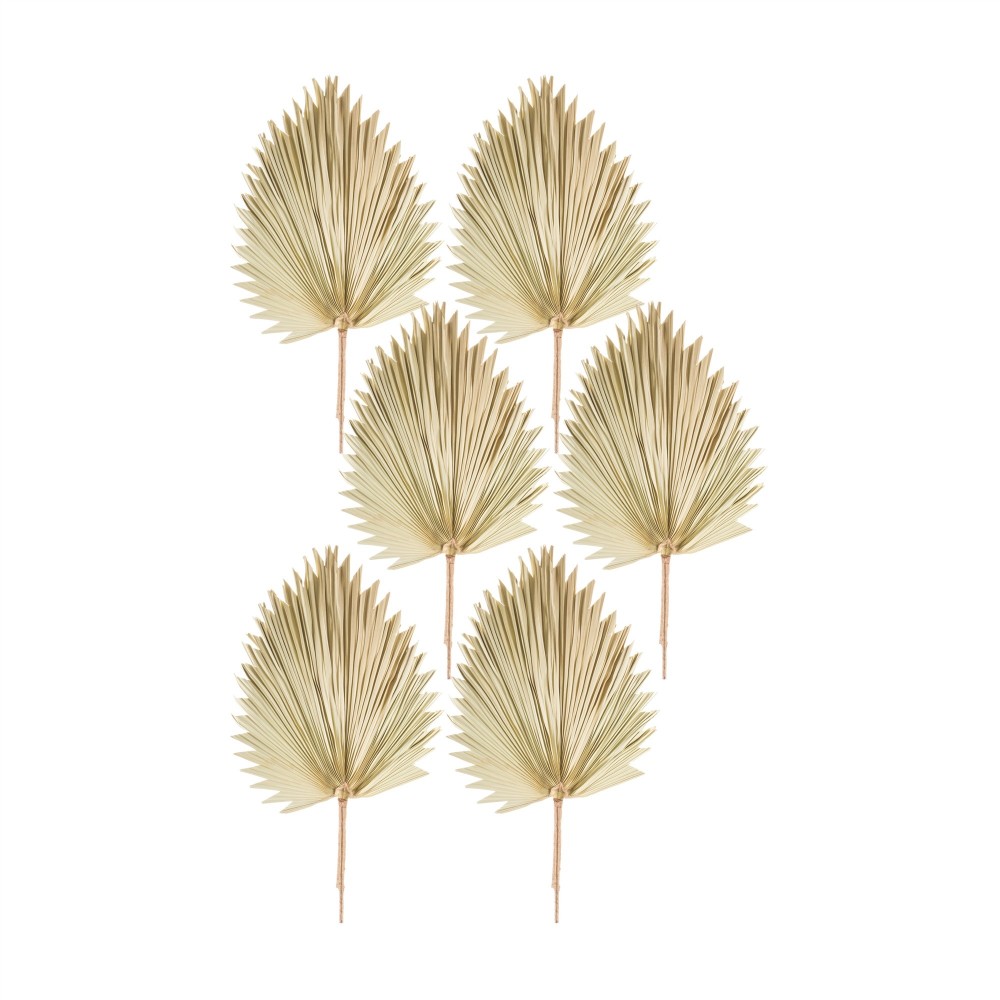 Fan Palm Leaf (Set Of 6) 42"H Natural Palm, Beige, Brown