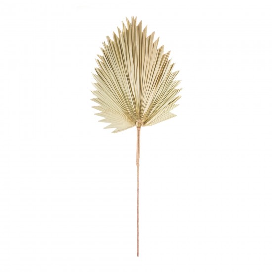 Fan Palm Leaf (Set Of 6) 42"H Natural Palm, Beige, Brown