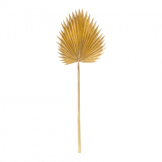 Fan Palm Leaf (Set Of 6) 37"H Plastic