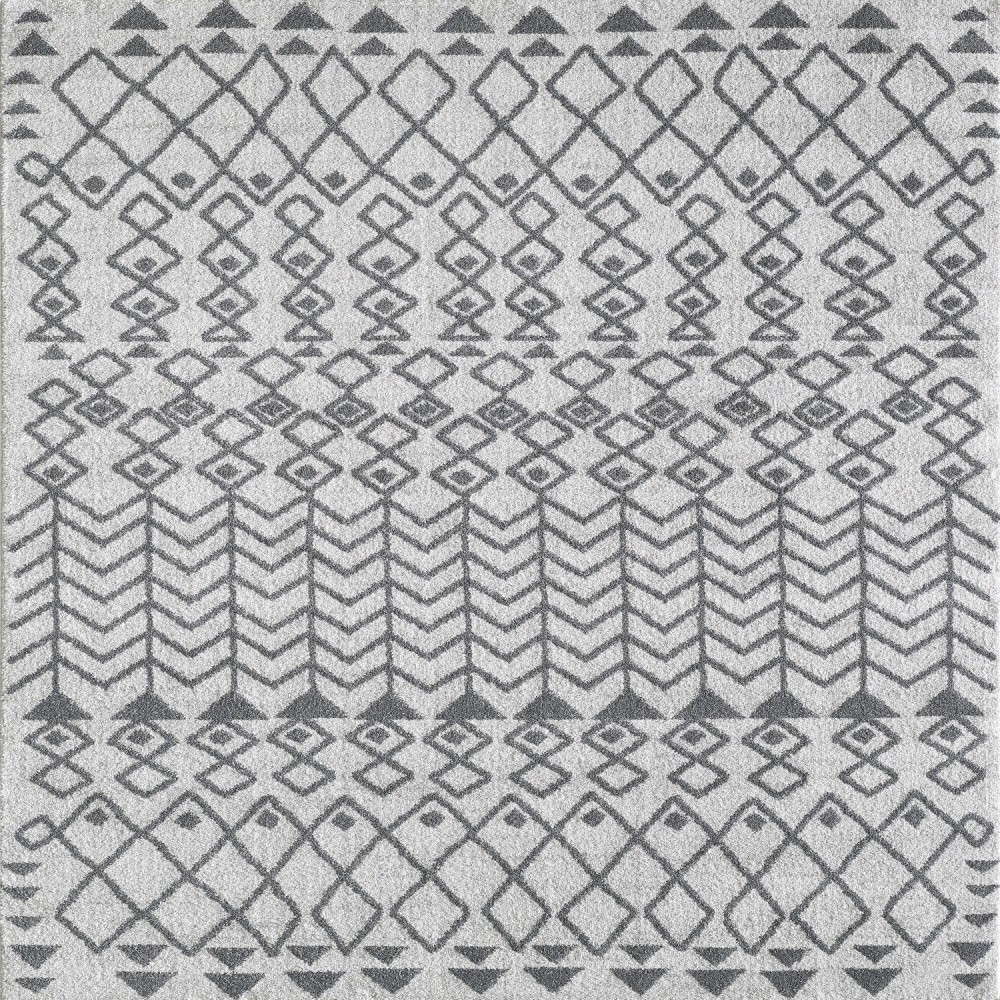 Totti Loops Gray/Dark Gray 6x9 Southwestern Rug