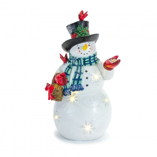 Led Snowman W/Cardinals 10.5"H Resin 3 Aaa Batteries Not Included