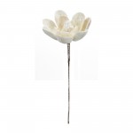 Magnolia Stem (Set Of 6) 20"H Velvet, White