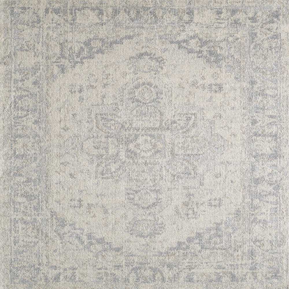 Totti Capricorn Gray/Dark Gray 6x9 Oriental Rug