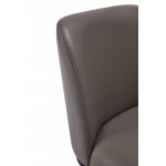 Serena Faux Leather Dining Chair in Grey (Set of 2)