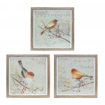 Framed Bird Print (Set Of 3) 10"Sq Mdf/Plastic/Paper