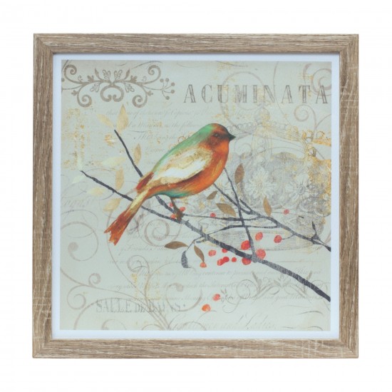 Framed Bird Print (Set Of 3) 10"Sq Mdf/Plastic/Paper