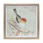 Framed Bird Print (Set Of 3) 10"Sq Mdf/Plastic/Paper