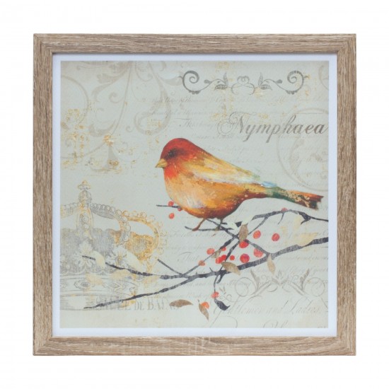 Framed Bird Print (Set Of 3) 10"Sq Mdf/Plastic/Paper