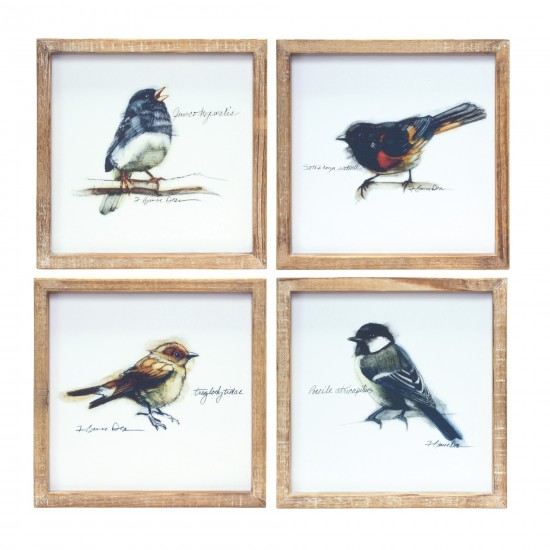 Framed Bird Print (Set Of 4) 9.5"Sq Mdf/Wood