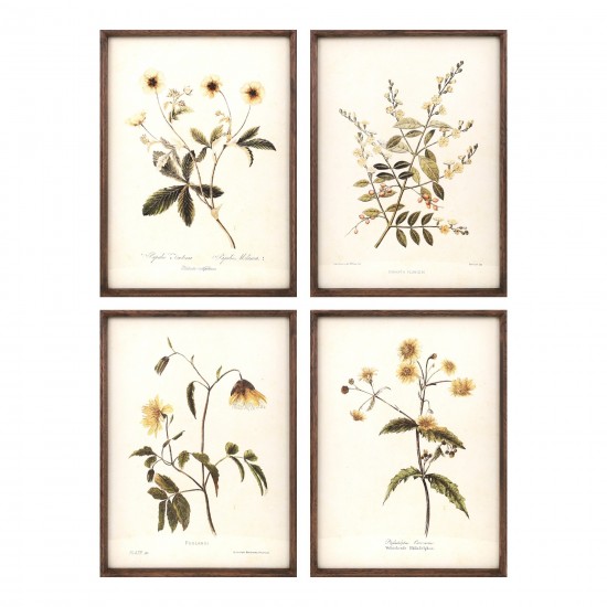 Floral Print (Set Of 4) 12"L x 17.5"H Mdf/Wood/Paper/Glass, Beige, Yellow